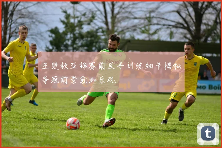 王楚钦亚锦赛前反手训练细节揭秘争冠前景愈加乐观